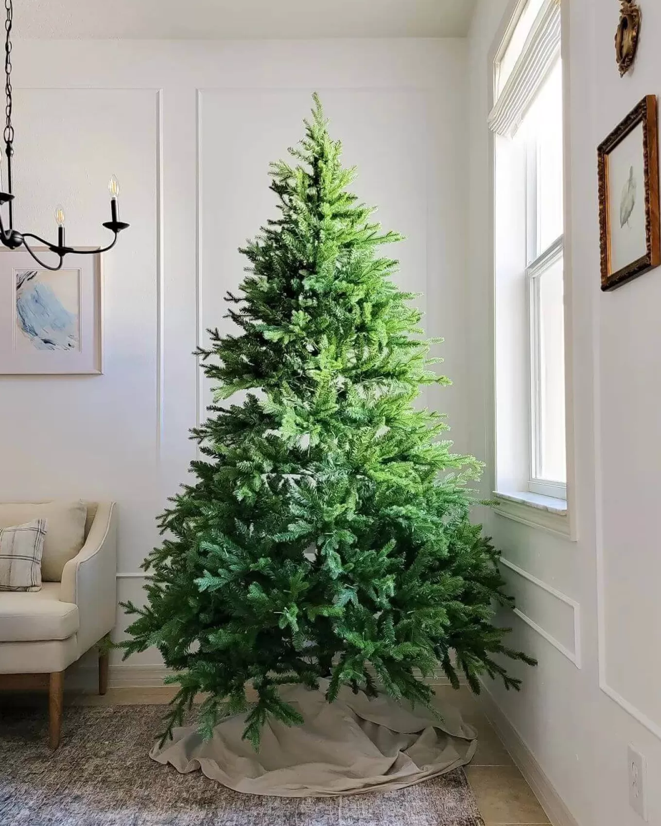 King Of Christmas 9' Scarlet Fir Artificial Christmas Tree With 1000 Warm White LED Lights- Realistic | Pre-Lit